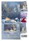 Preview: Arrière-plan du motif 5266